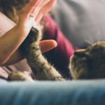 猫と女性